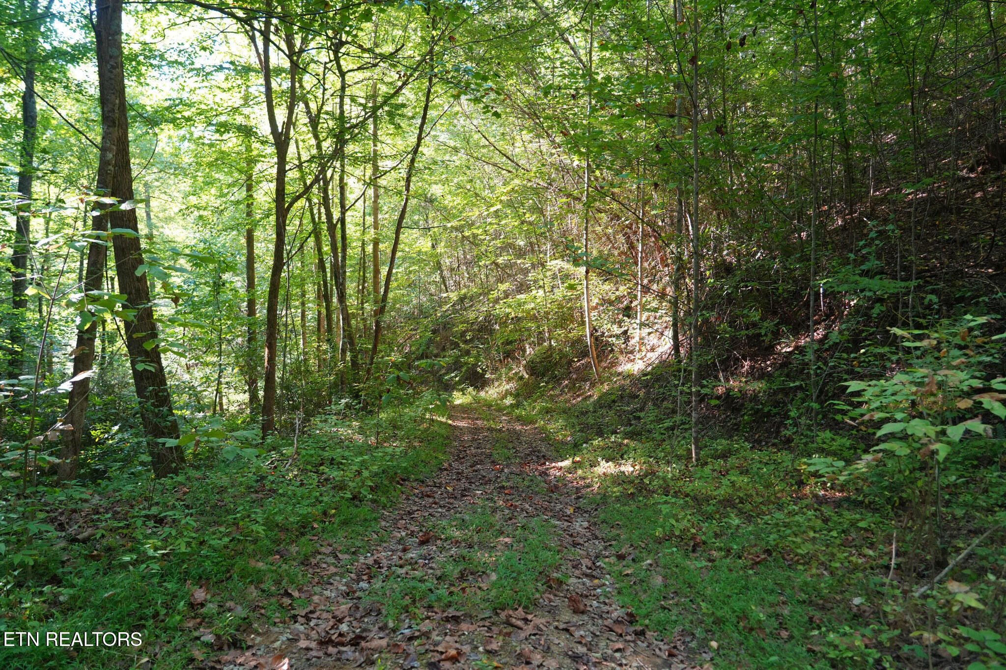 3738 Oliver Way Sevierville TN 37876