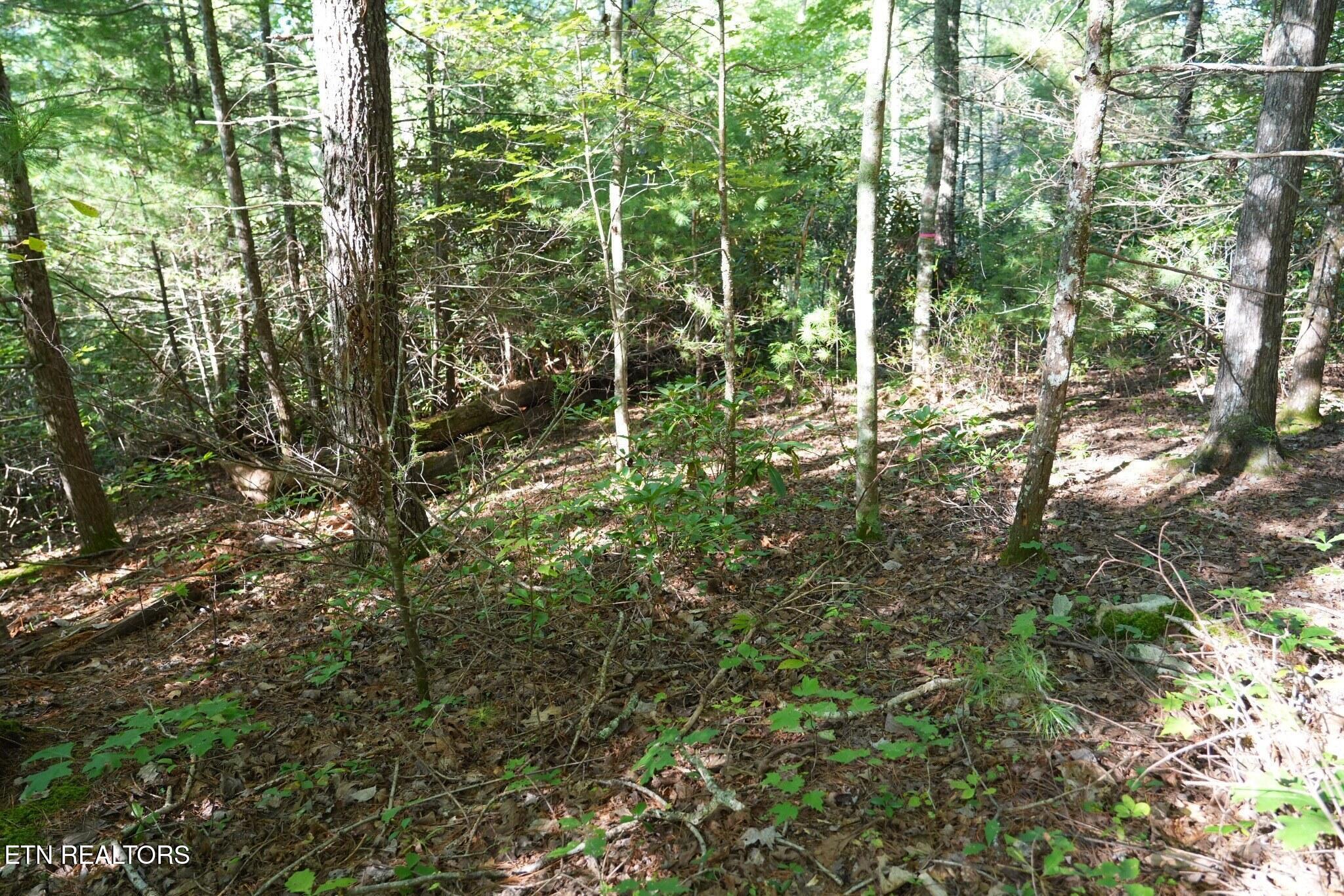 3738 Oliver Way Sevierville TN 37876
