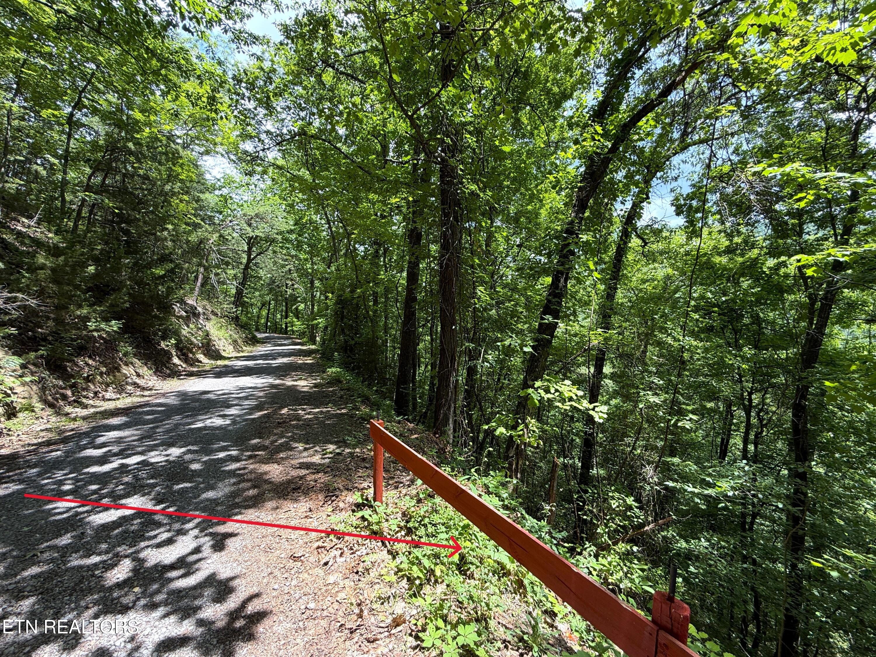 Aintree Drive Sevierville TN 37876