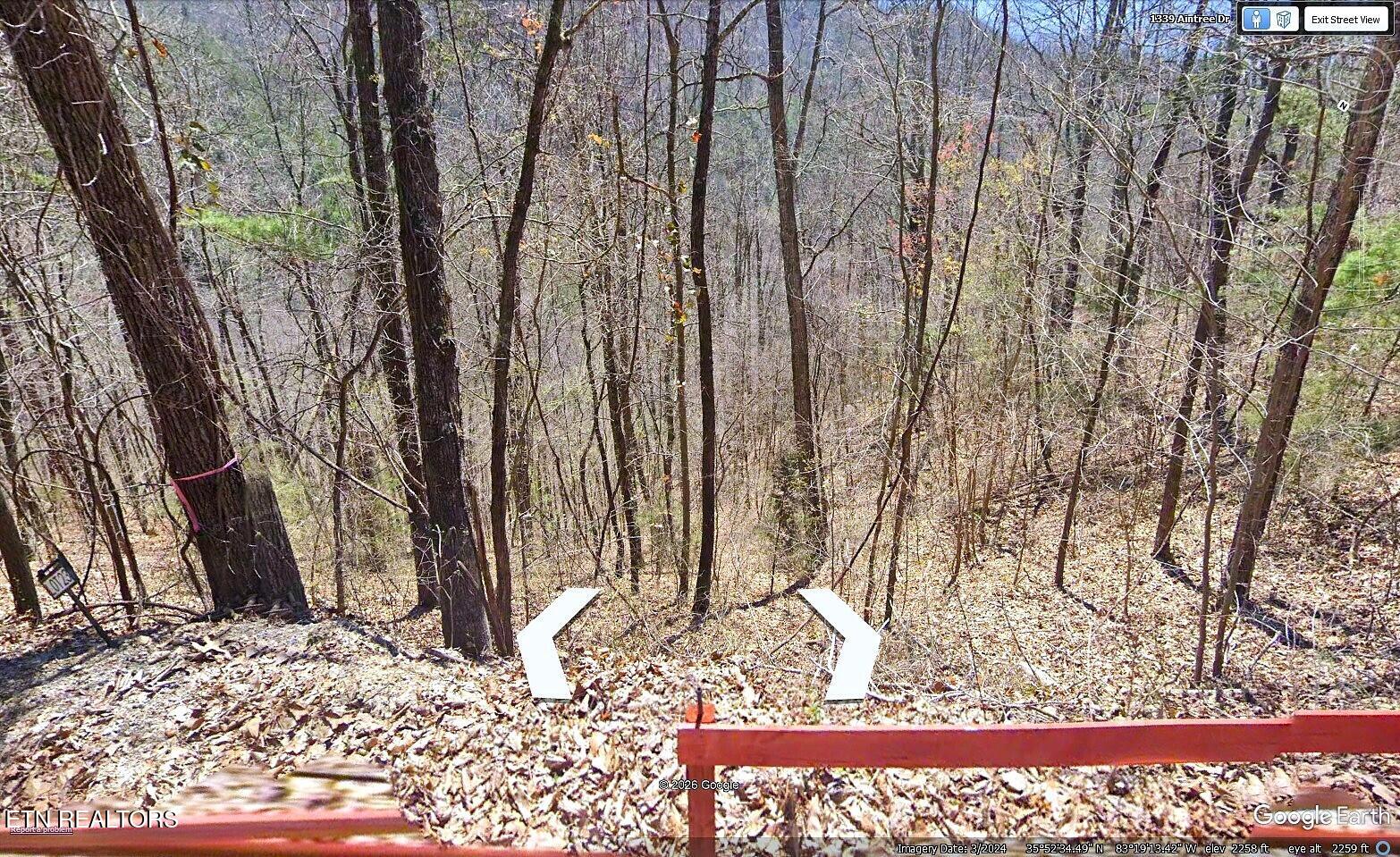 Aintree Drive Sevierville TN 37876