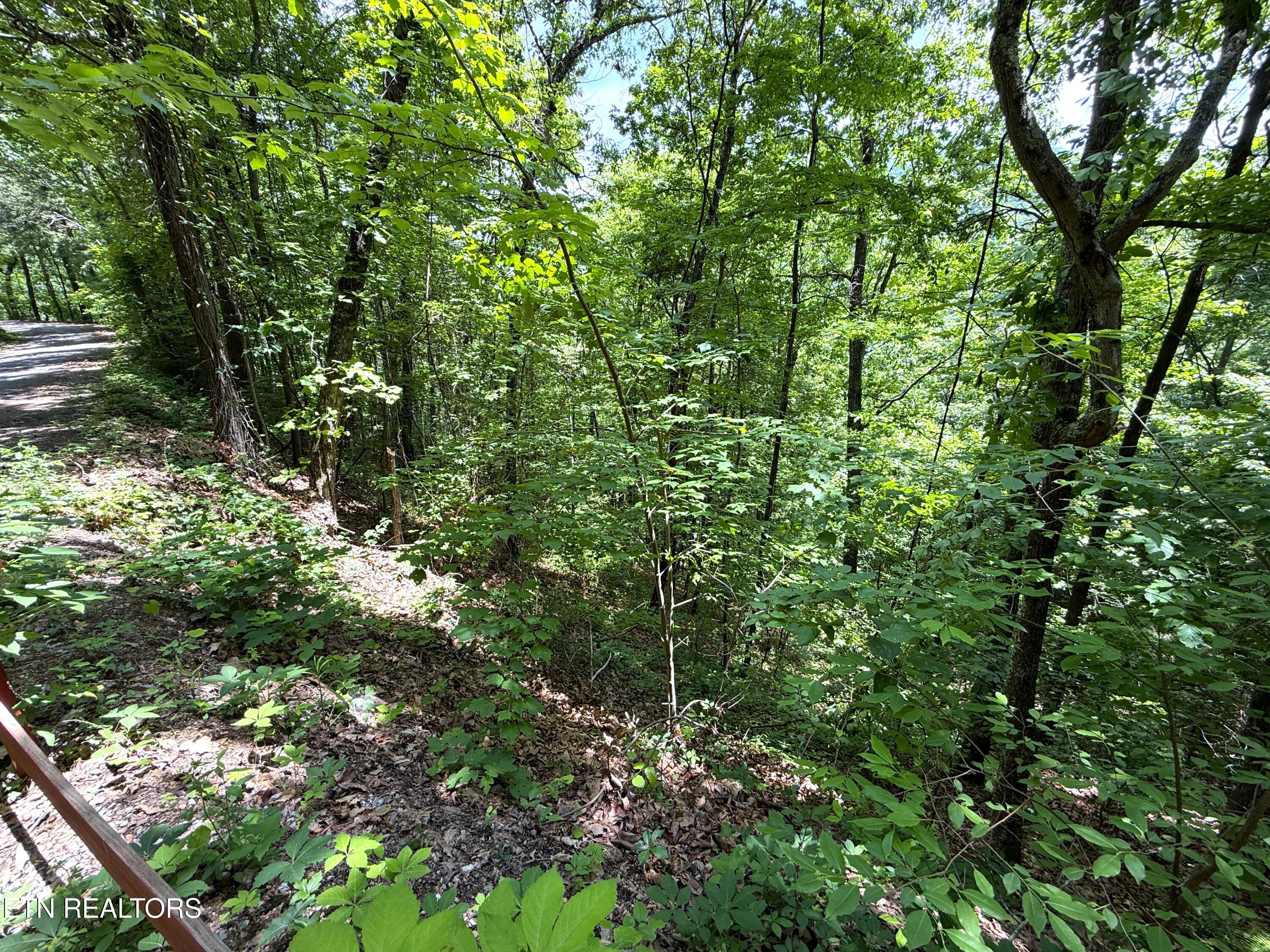 Aintree Drive Sevierville TN 37876