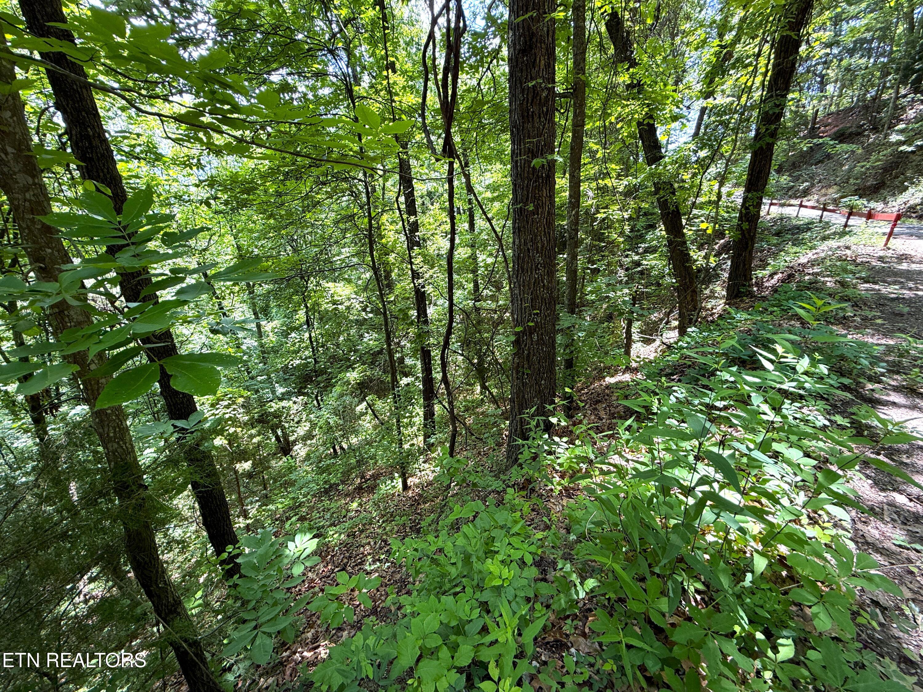 Aintree Drive Sevierville TN 37876