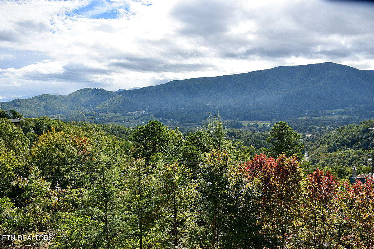 2602 Hatcher Mountain Road Sevierville TN 37862
