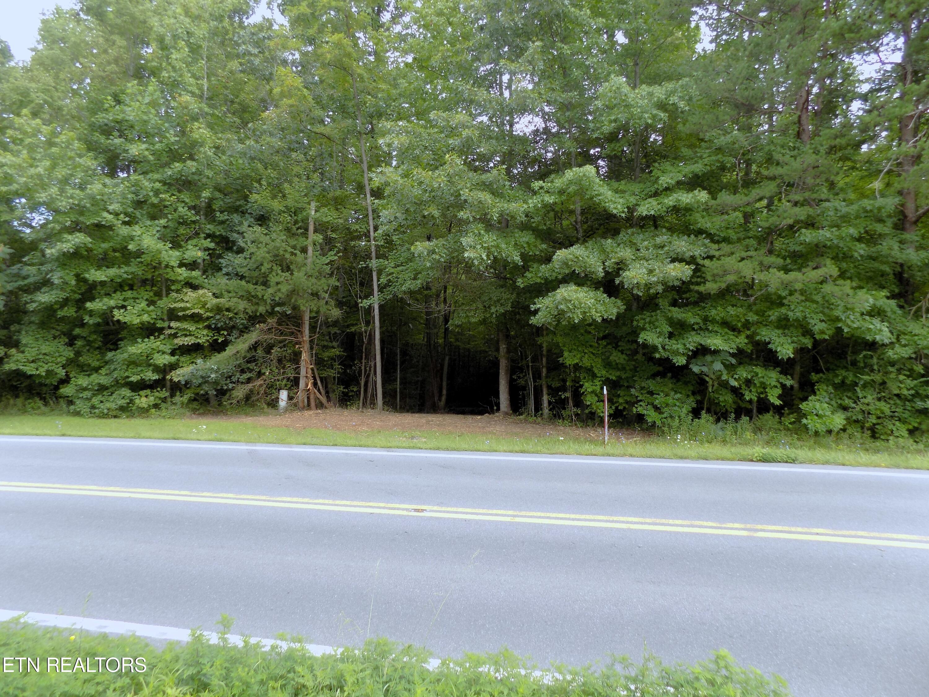 Lots 1-3 Hooper Highway Cosby TN 37722