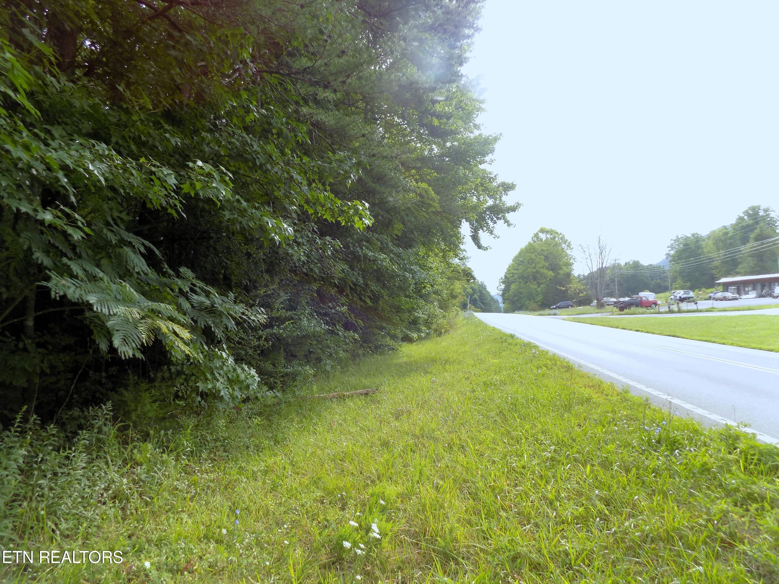 Lots 1-3 Hooper Highway Cosby TN 37722