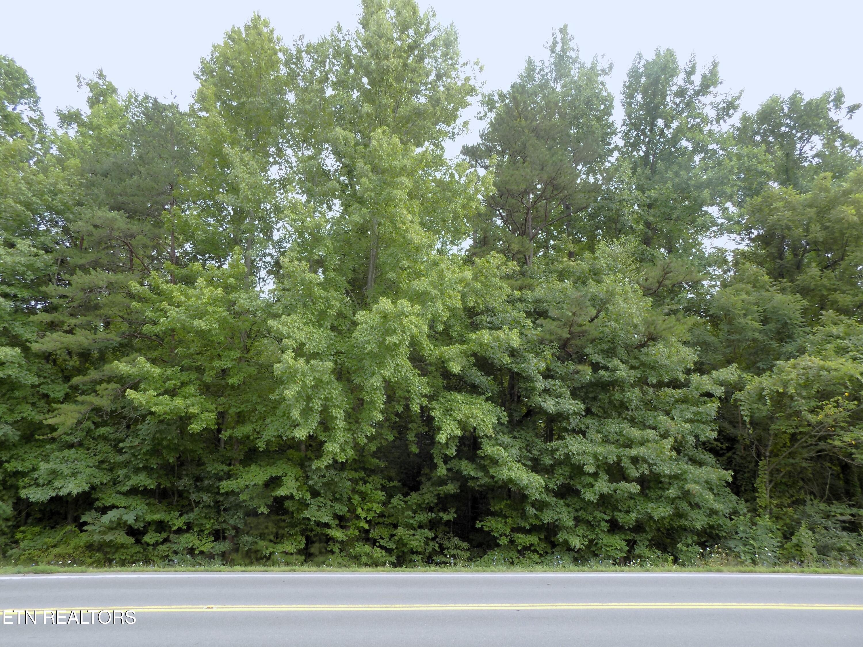 Lots 1-3 Hooper Highway Cosby TN 37722