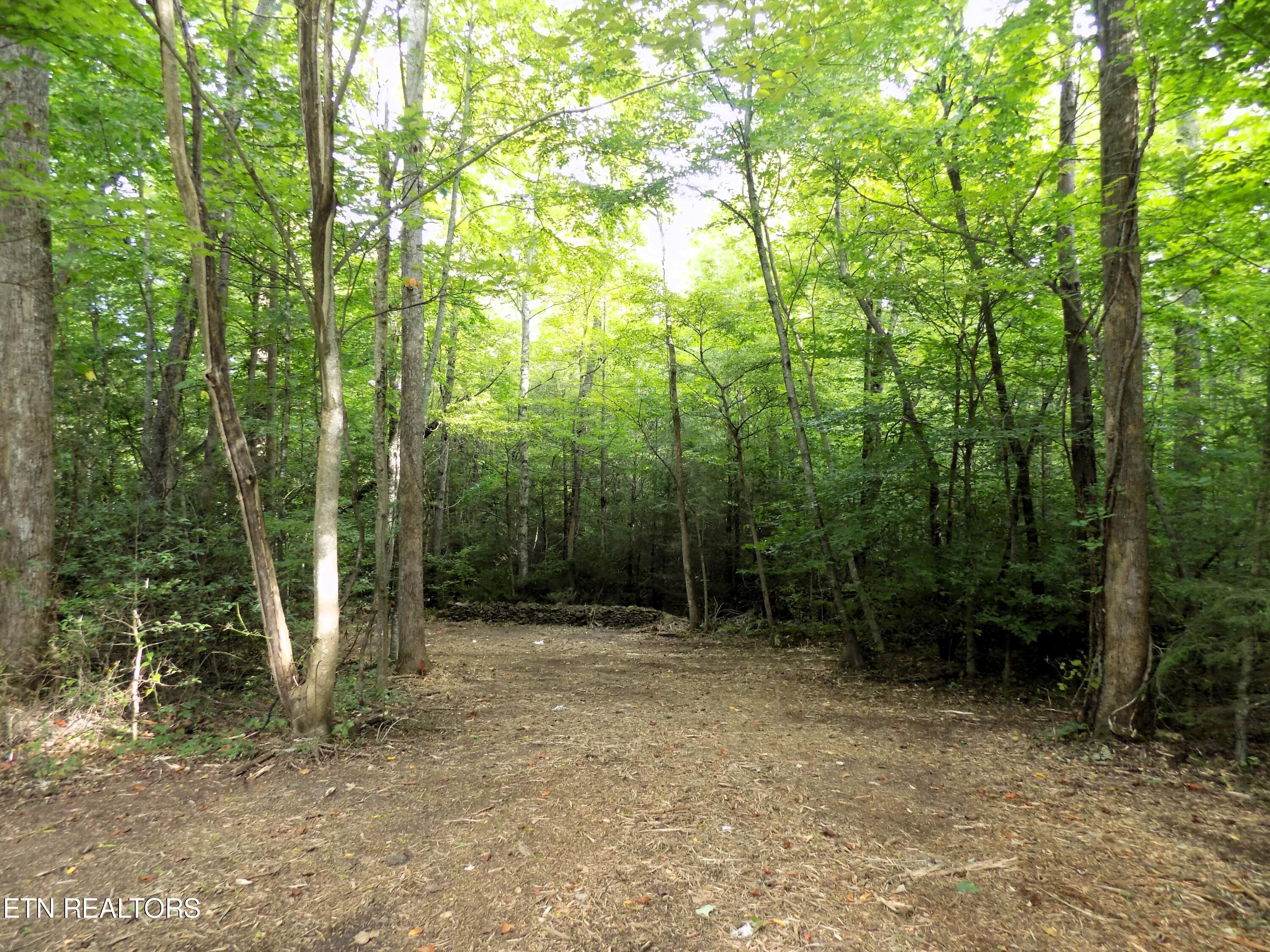 Lots 1-3 Hooper Highway Cosby TN 37722