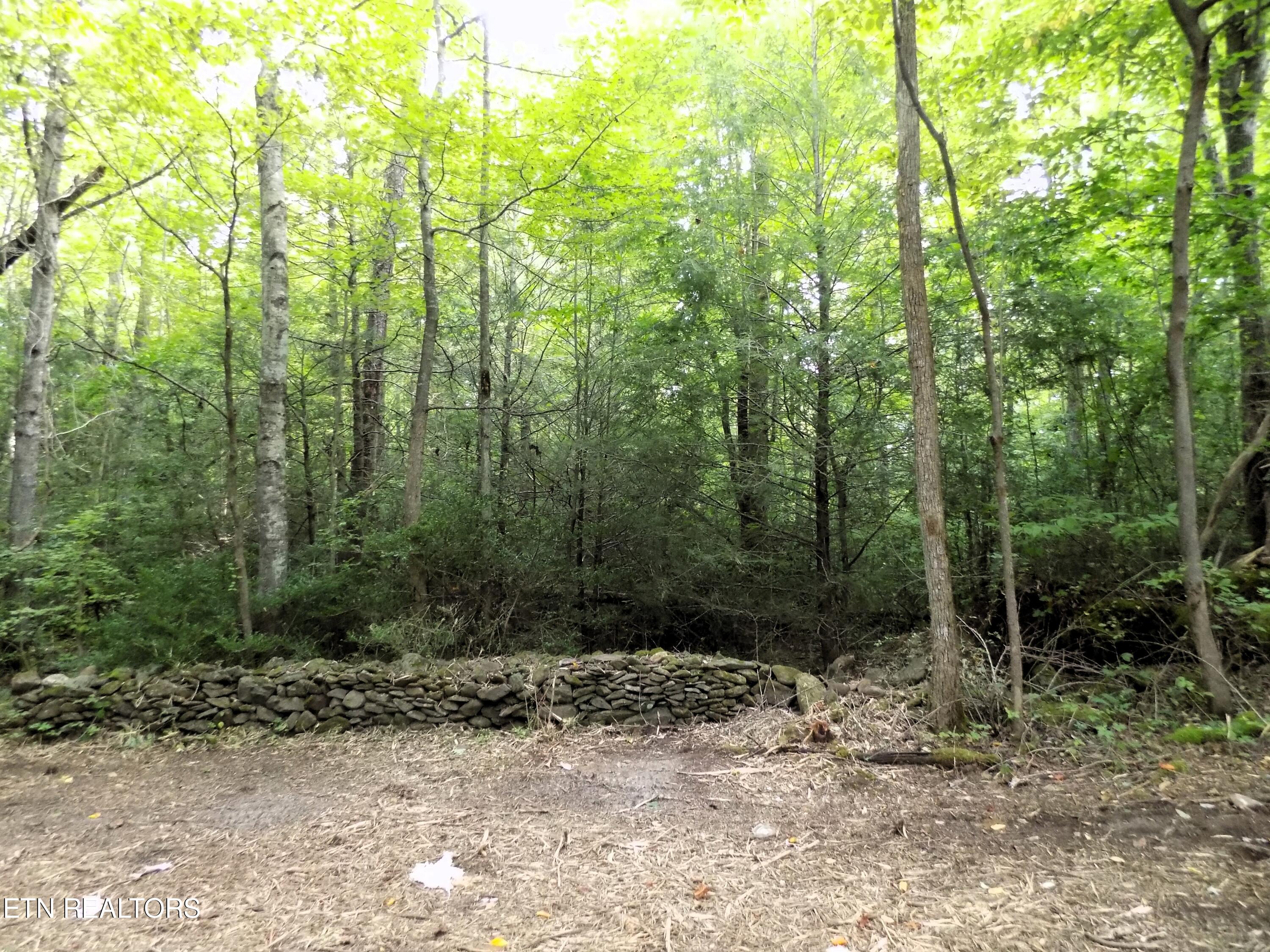 Lots 1-3 Hooper Highway Cosby TN 37722
