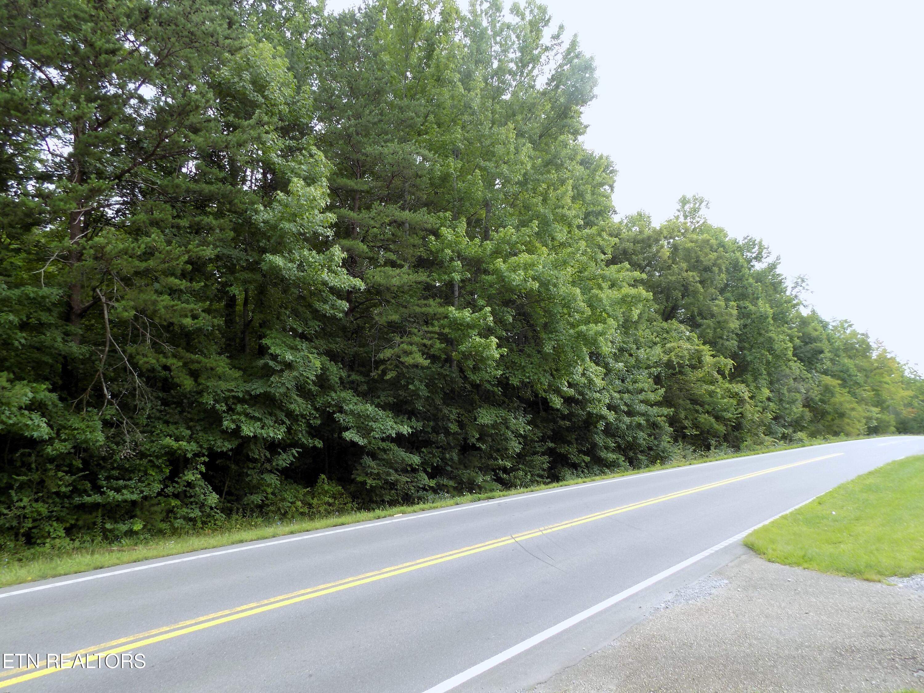 Lots 1-3 Hooper Highway Cosby TN 37722