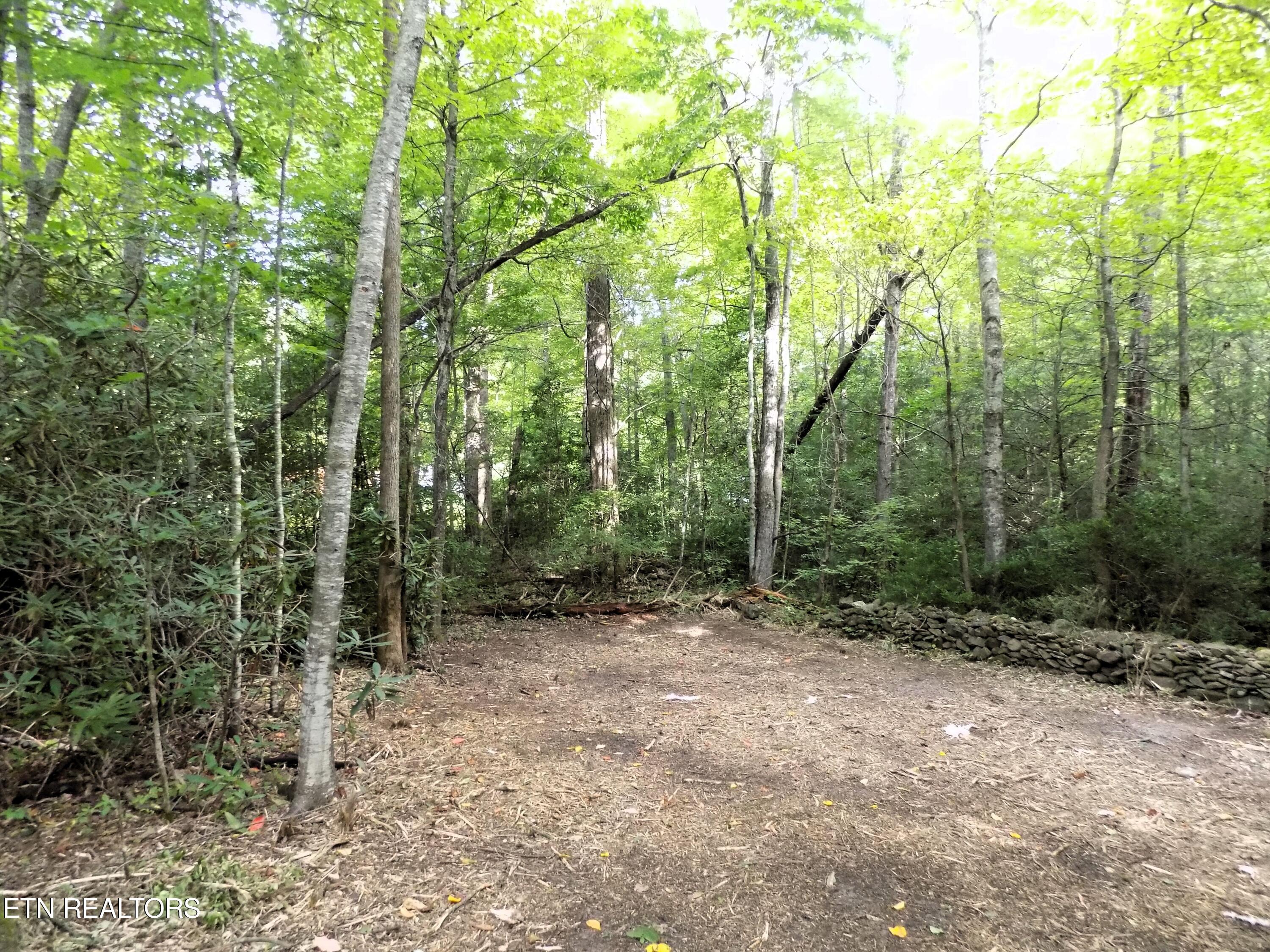 Lots 1-3 Hooper Highway Cosby TN 37722