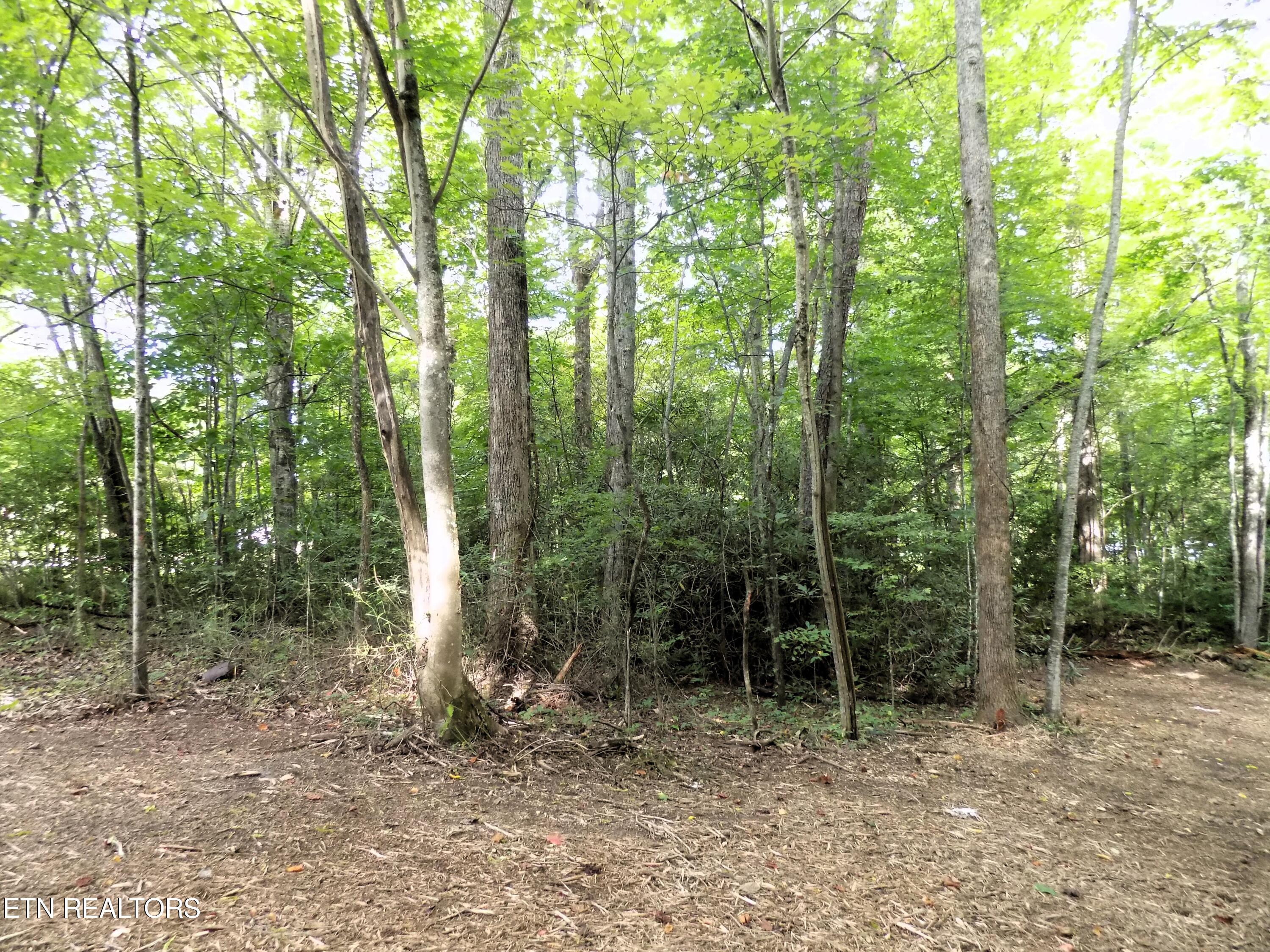 Lots 1-3 Hooper Highway Cosby TN 37722