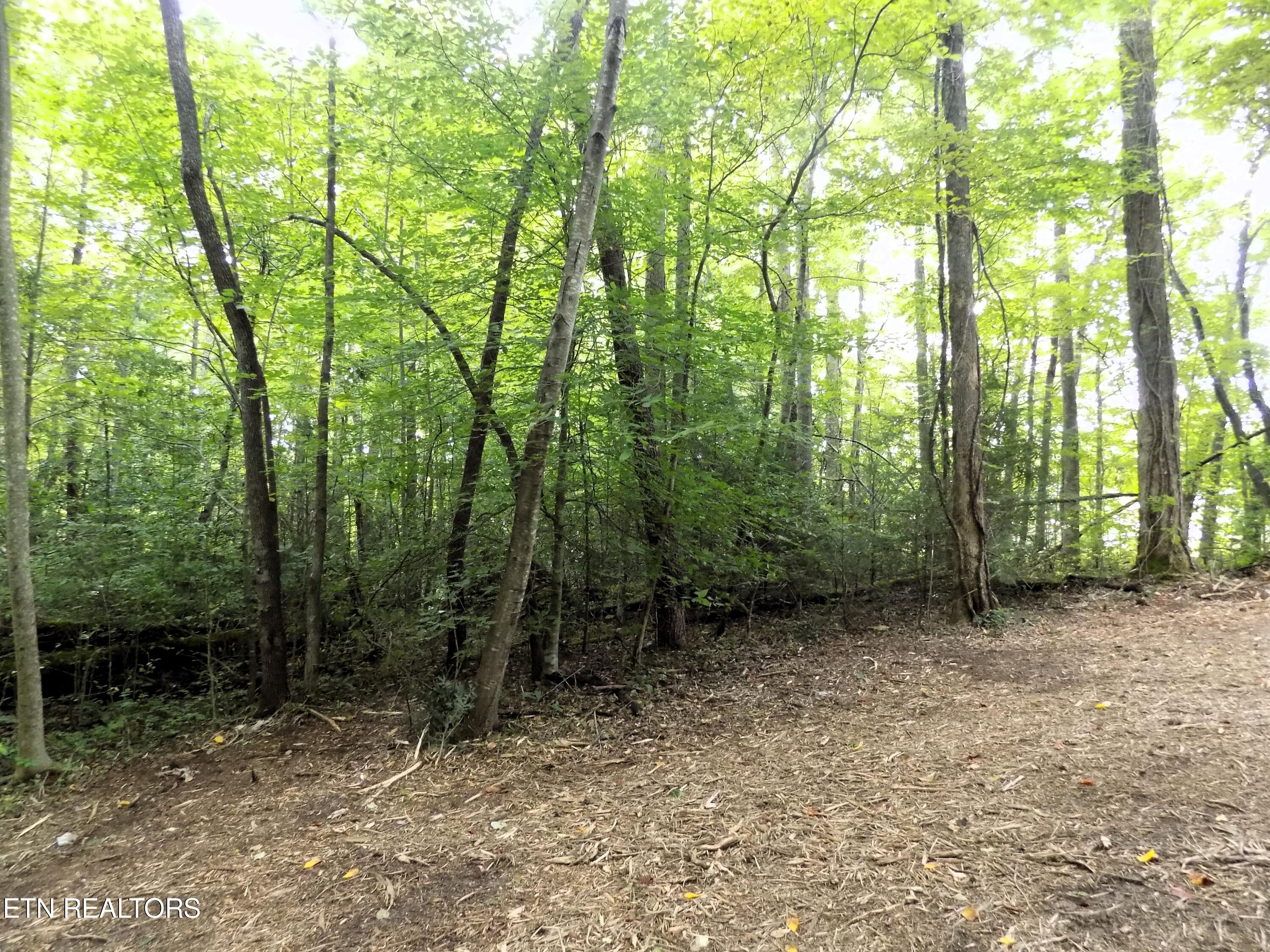 Lots 1-3 Hooper Highway Cosby TN 37722
