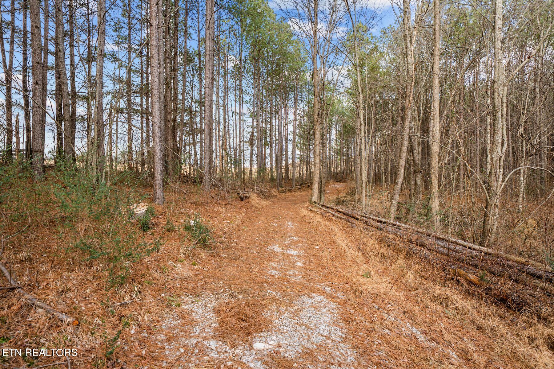 185 Mount Vernal Road Rockwood TN 37854