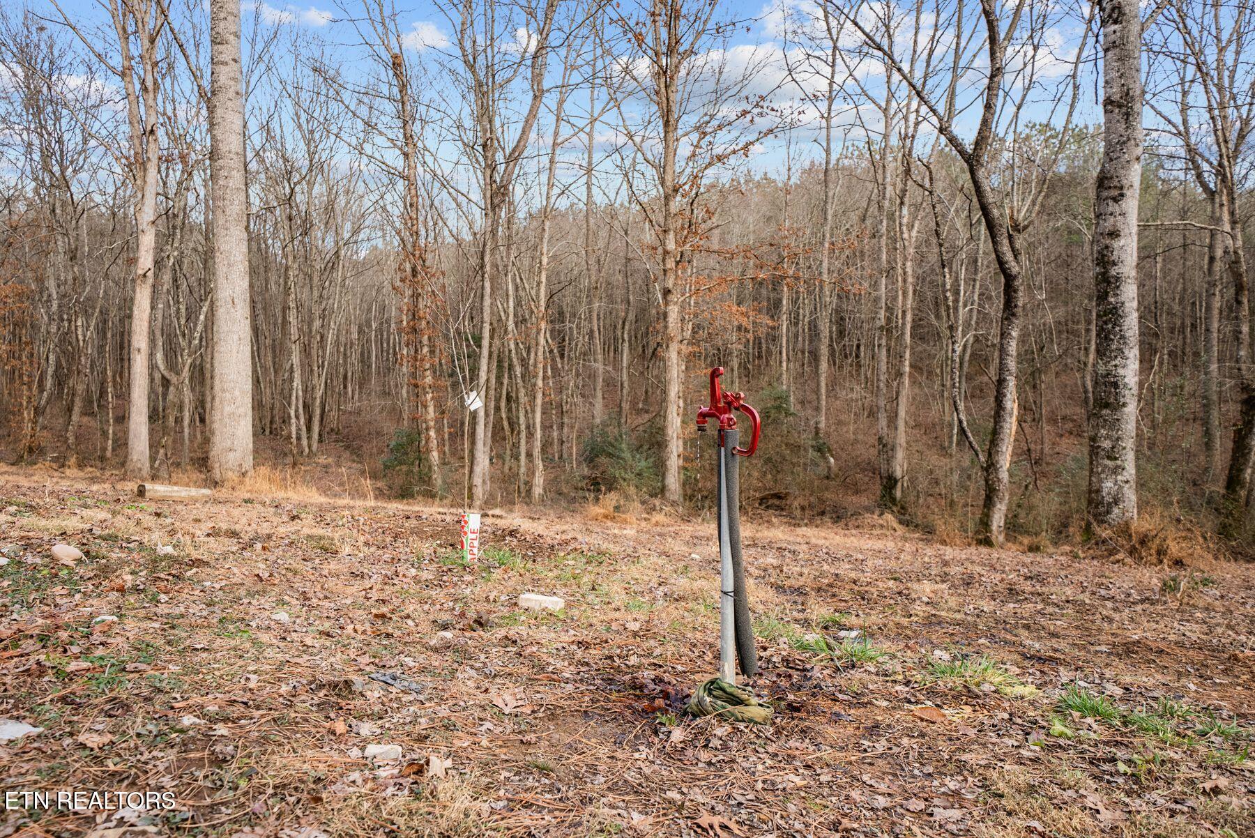 185 Mount Vernal Road Rockwood TN 37854