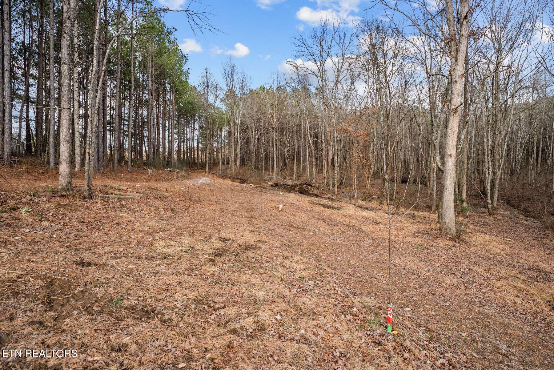 185 Mount Vernal Road Rockwood TN 37854