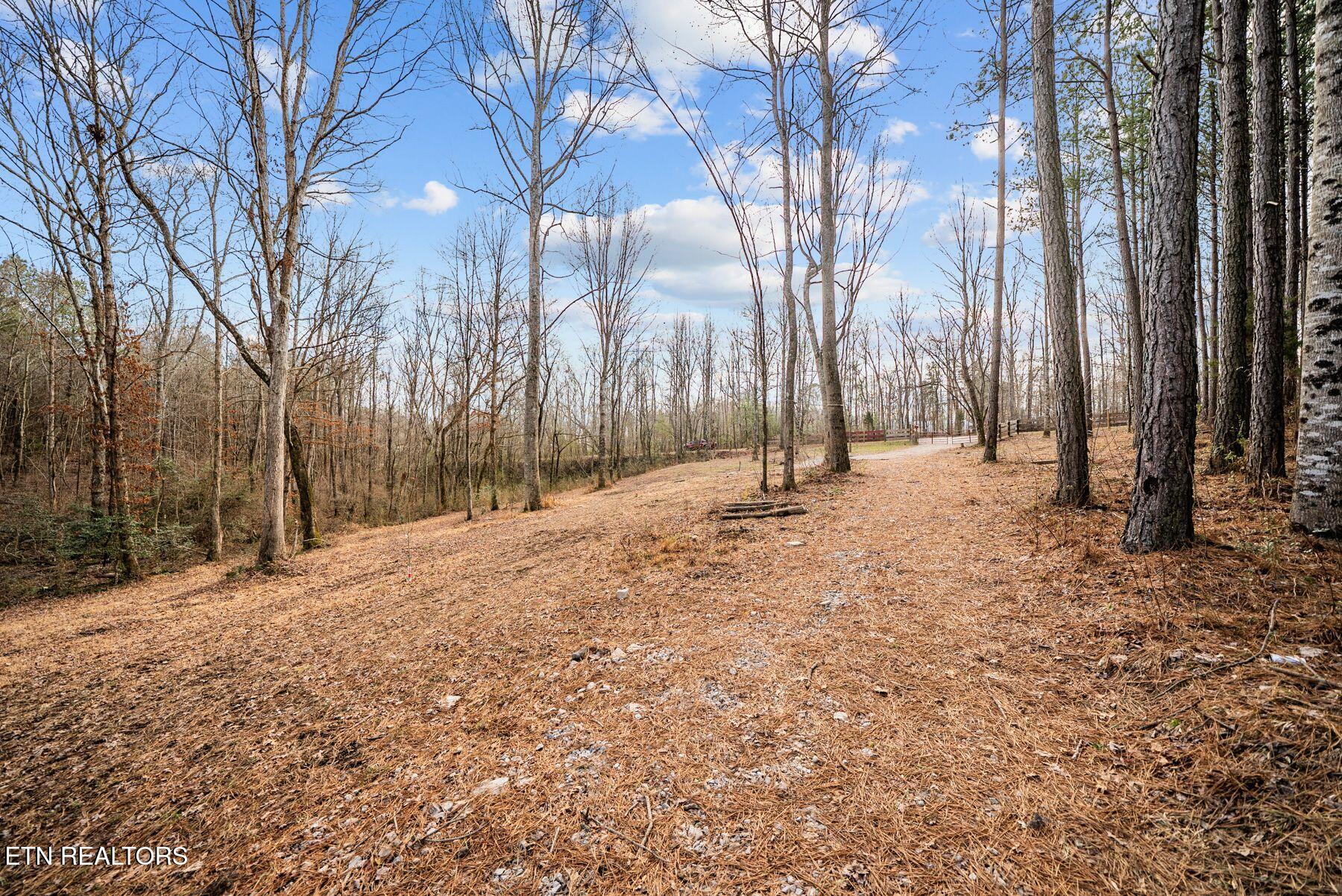 185 Mount Vernal Road Rockwood TN 37854