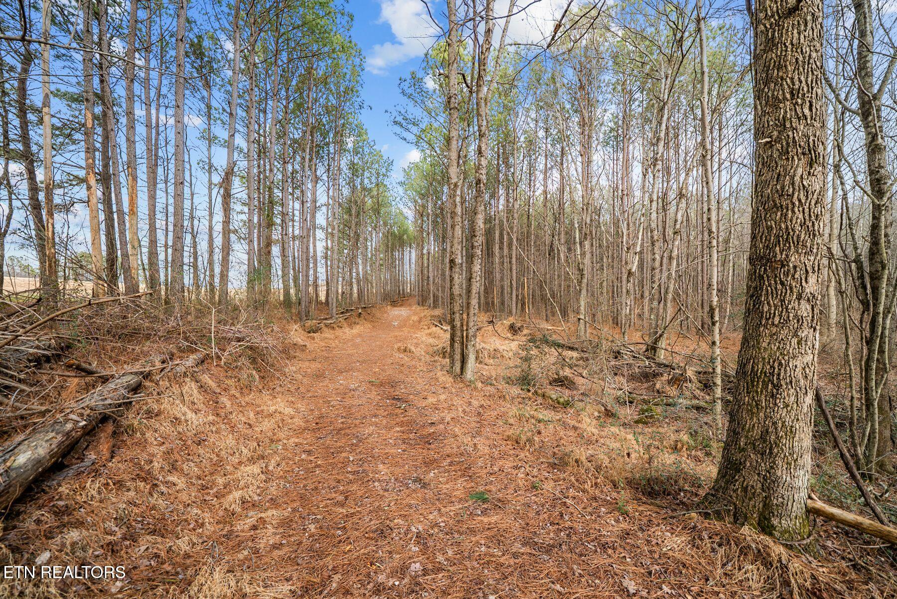 185 Mount Vernal Road Rockwood TN 37854
