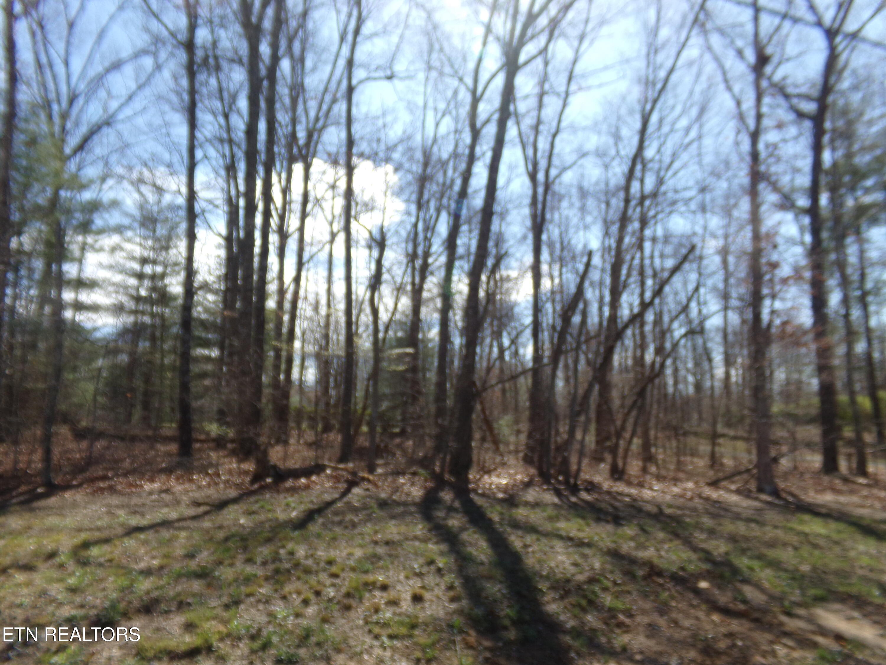 7218 Big Horn Drive Crossville TN 38572