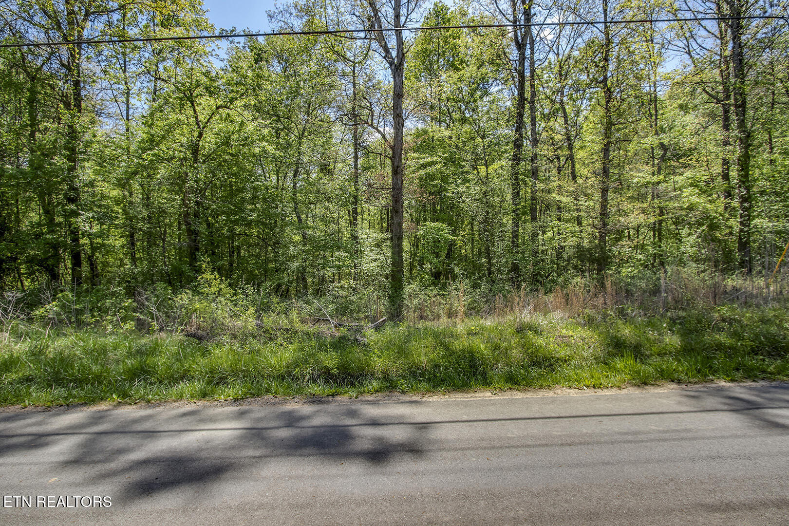 435 Oak Grove Road Decatur TN 37322