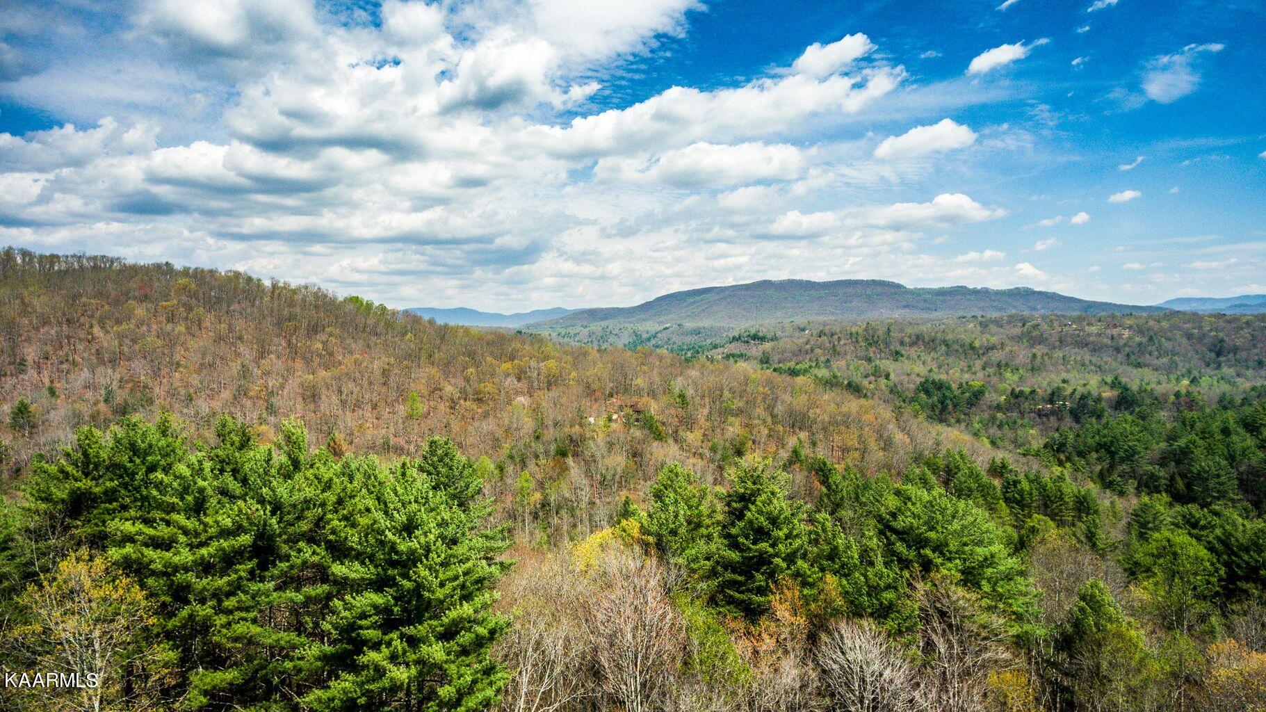 684 Green Ridge Trails (Lot 9) Harriman TN 37748
