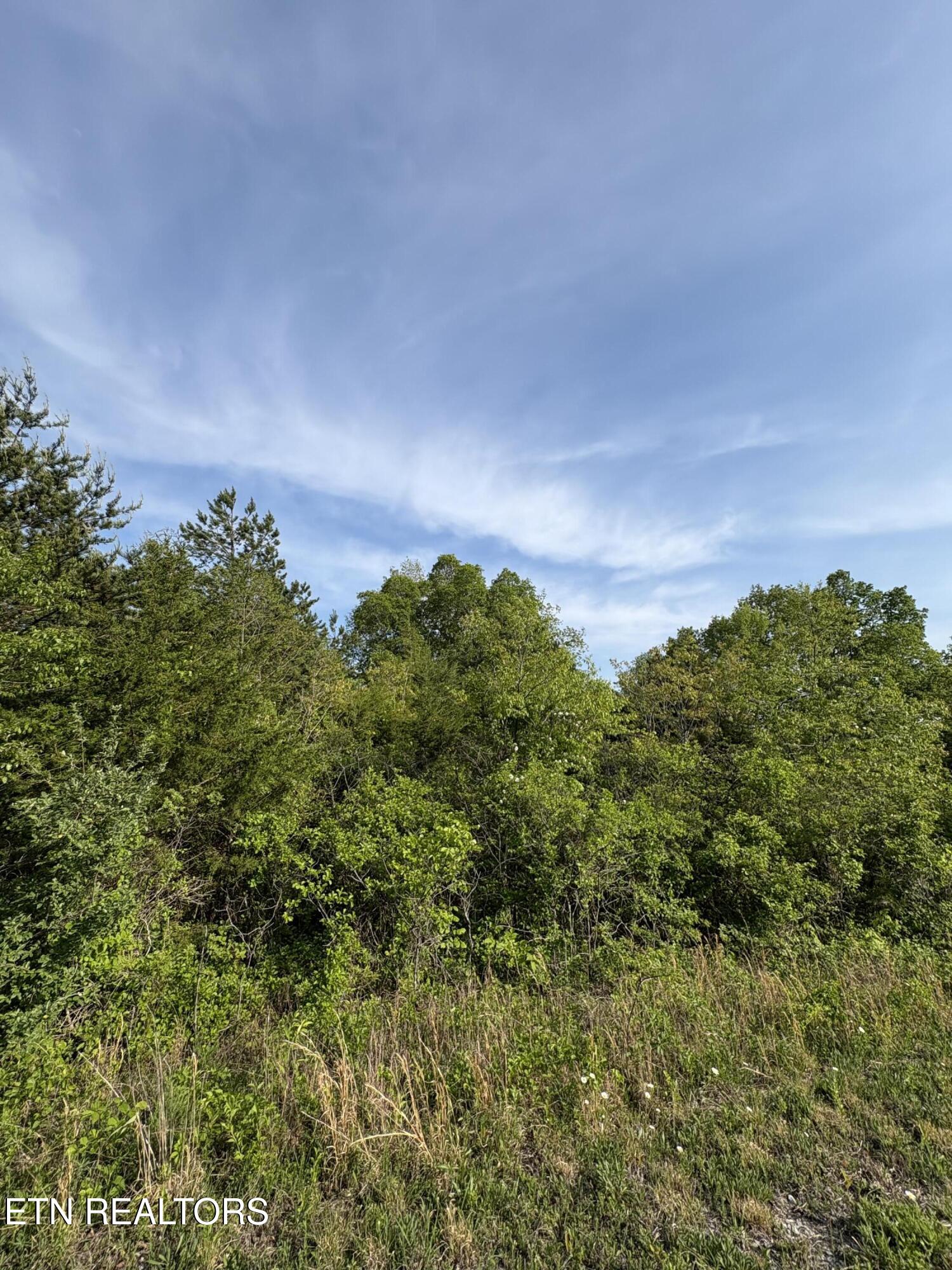 Lot 60 Saddleridge Drive Speedwell TN 37870