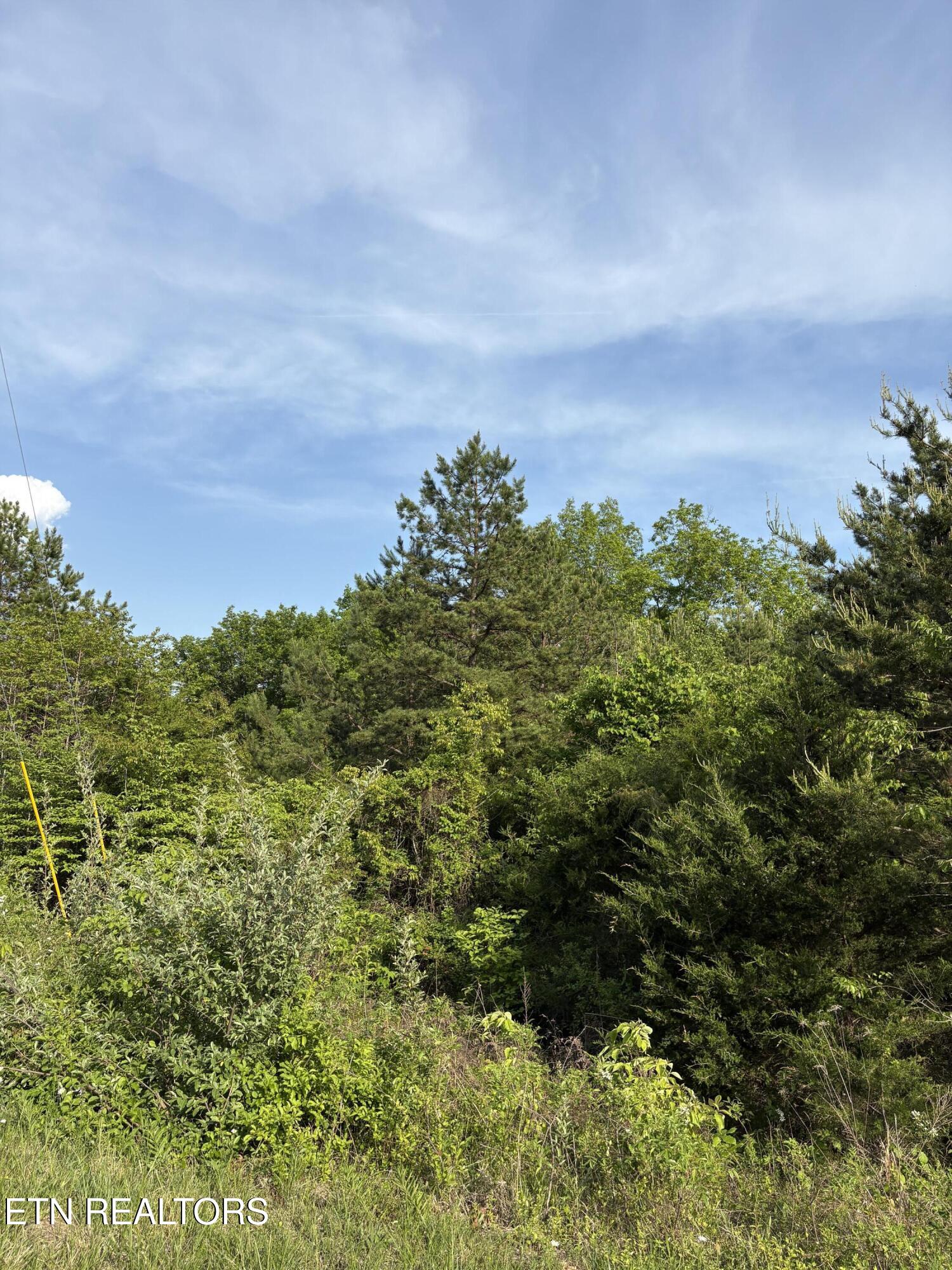 Lot 60 Saddleridge Drive Speedwell TN 37870