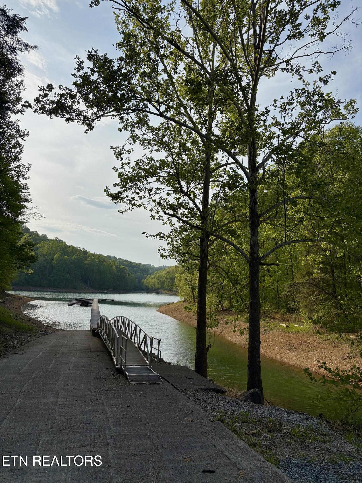 Lot 60 Saddleridge Drive Speedwell TN 37870