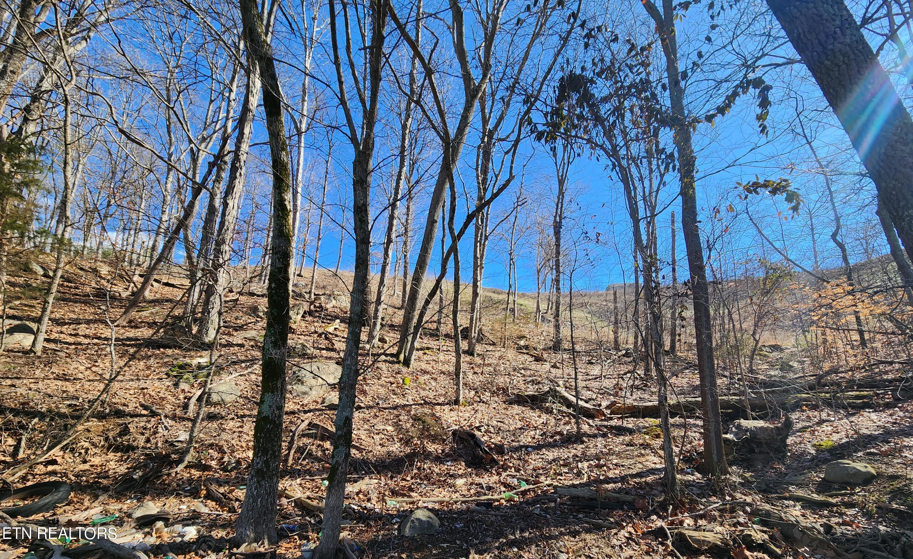 2613 Serenity Sound Morristown TN 37816
