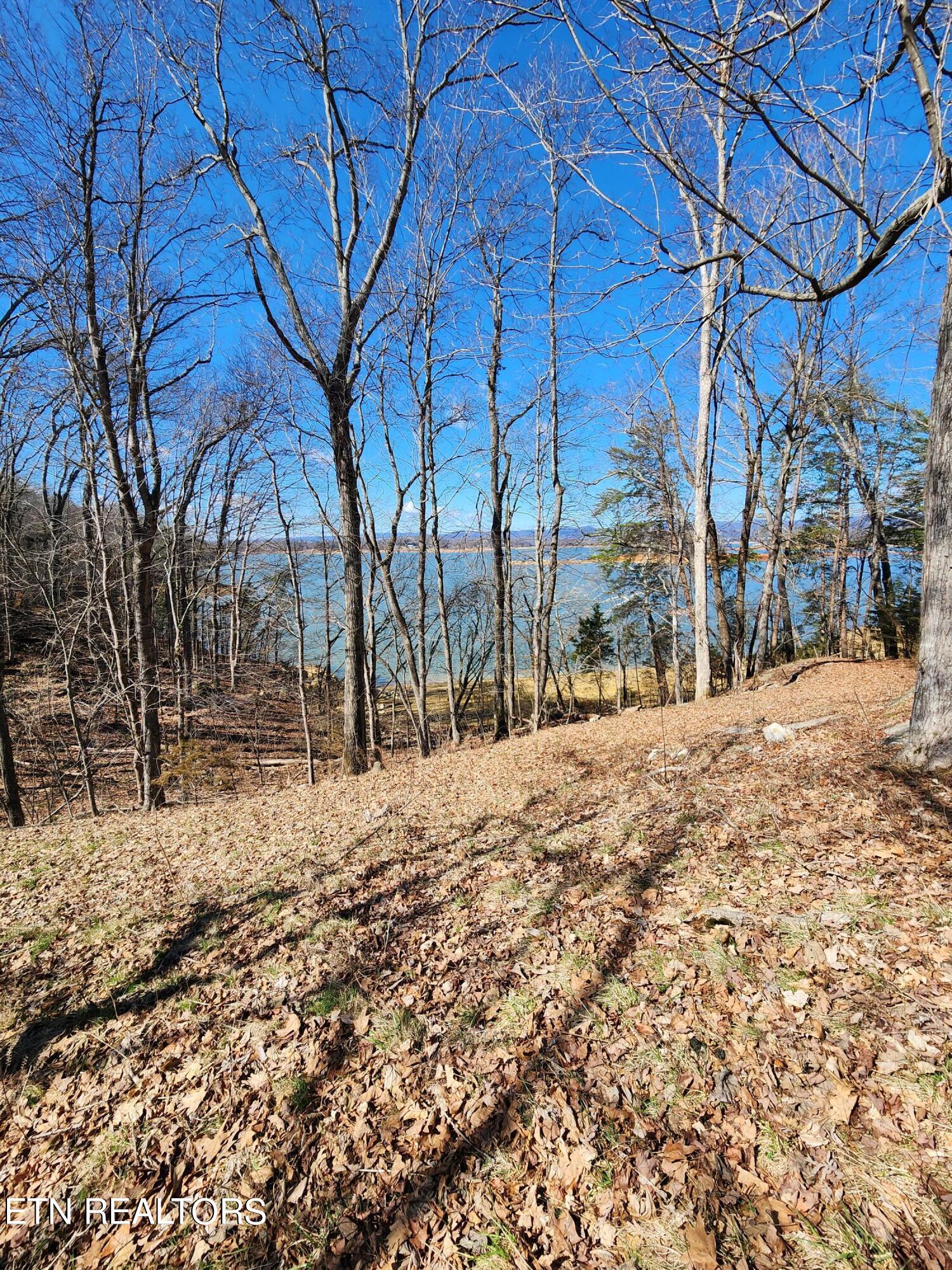 2613 Serenity Sound Morristown TN 37816