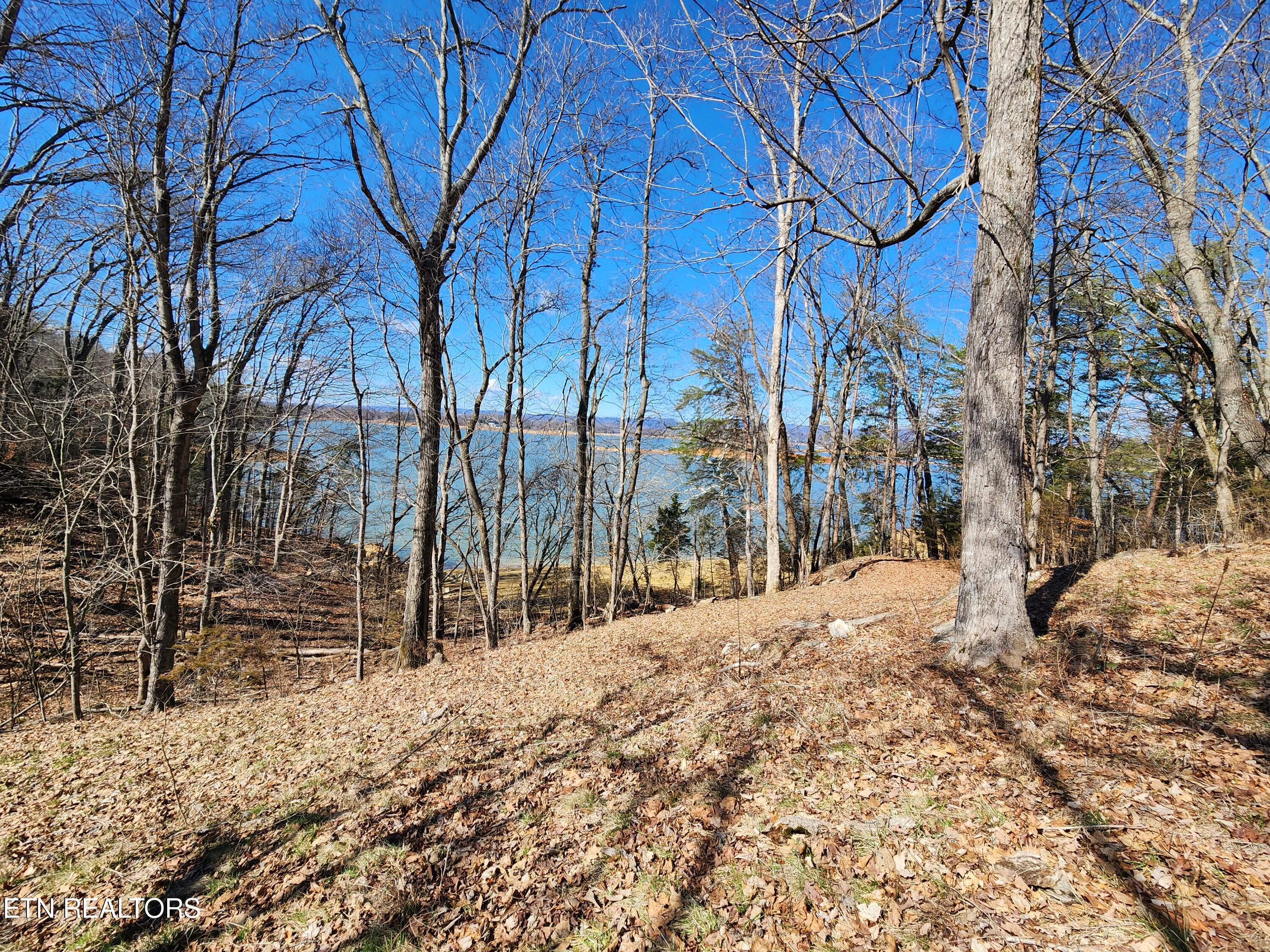 2613 Serenity Sound Morristown TN 37816