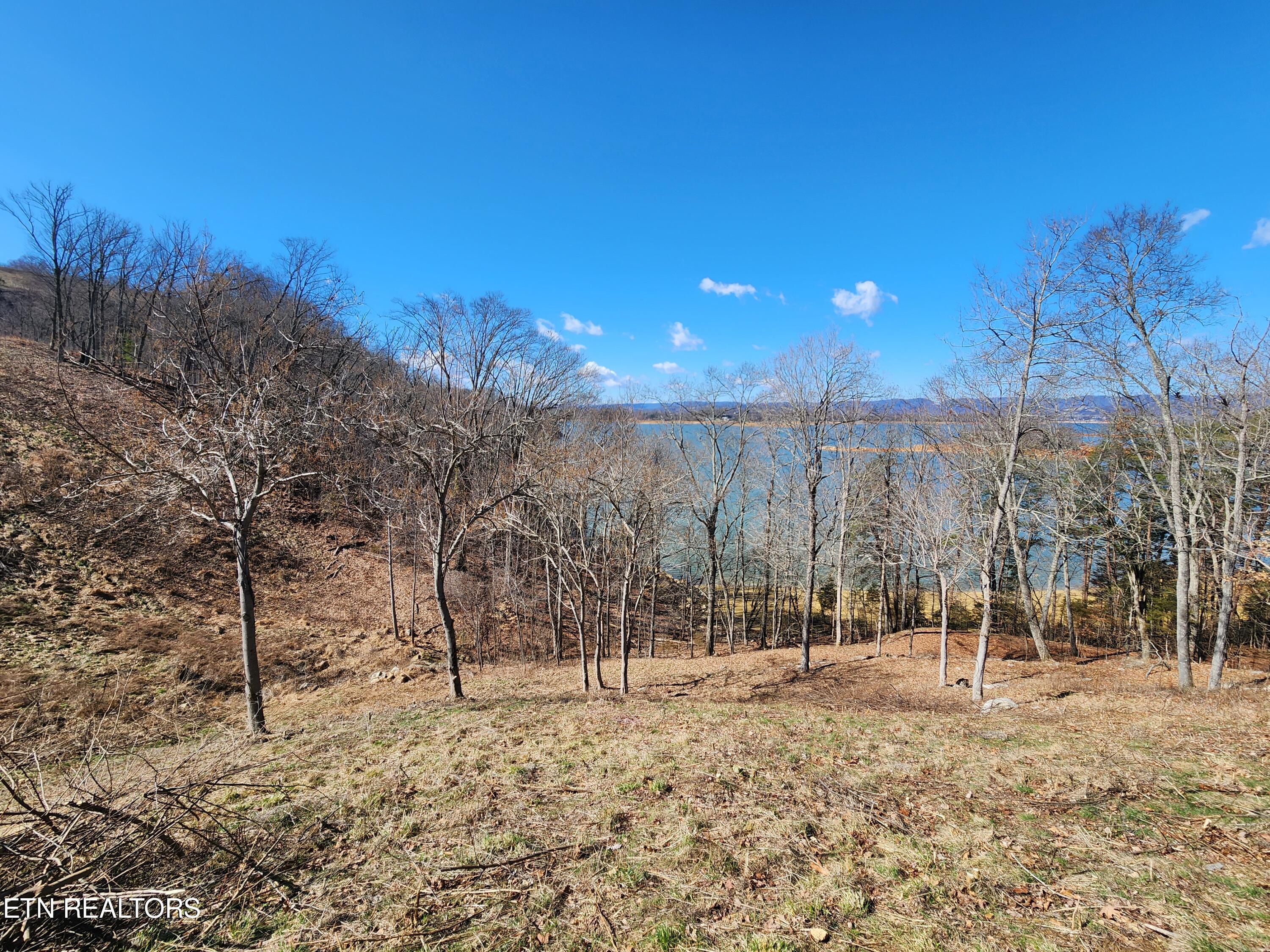 2613 Serenity Sound Morristown TN 37816