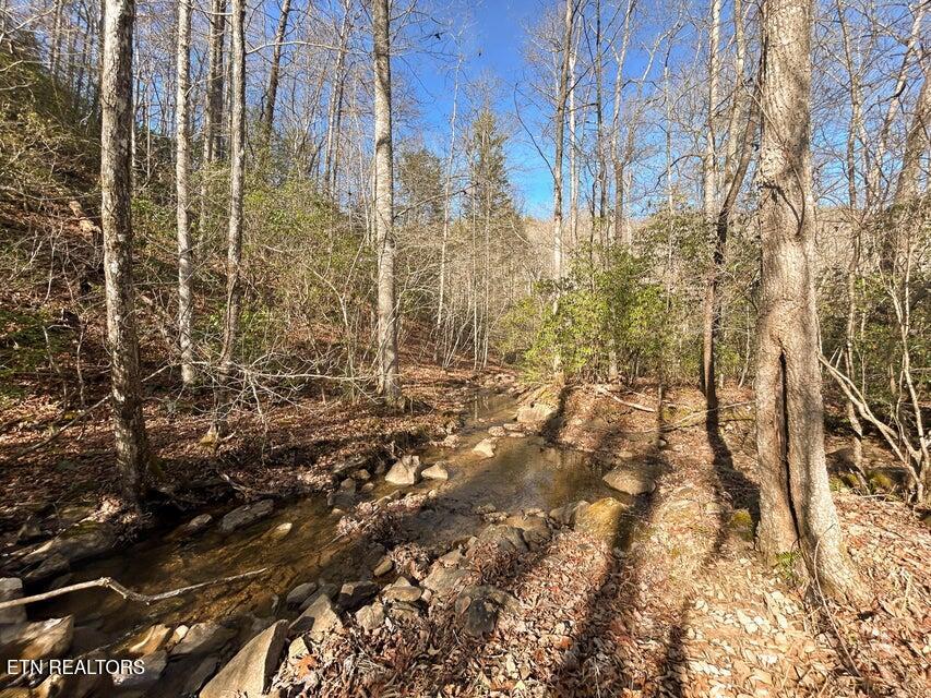 0 Deerhead Road Dunlap TN 37327