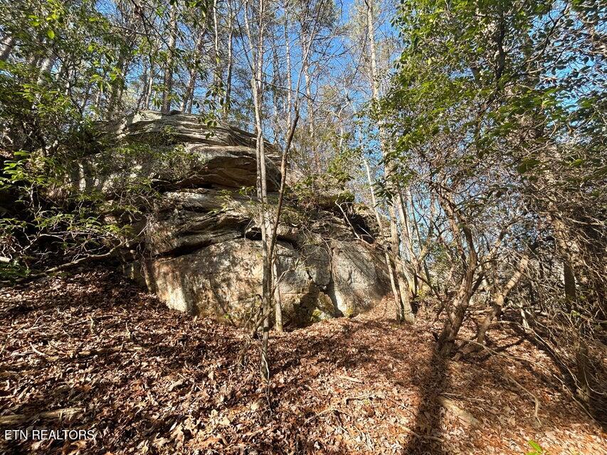 0 Deerhead Road Dunlap TN 37327