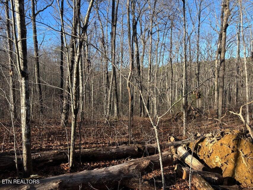 0 Deerhead Road Dunlap TN 37327