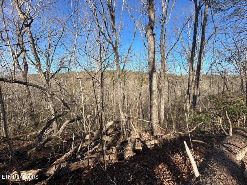 0 Deerhead Road Dunlap TN 37327