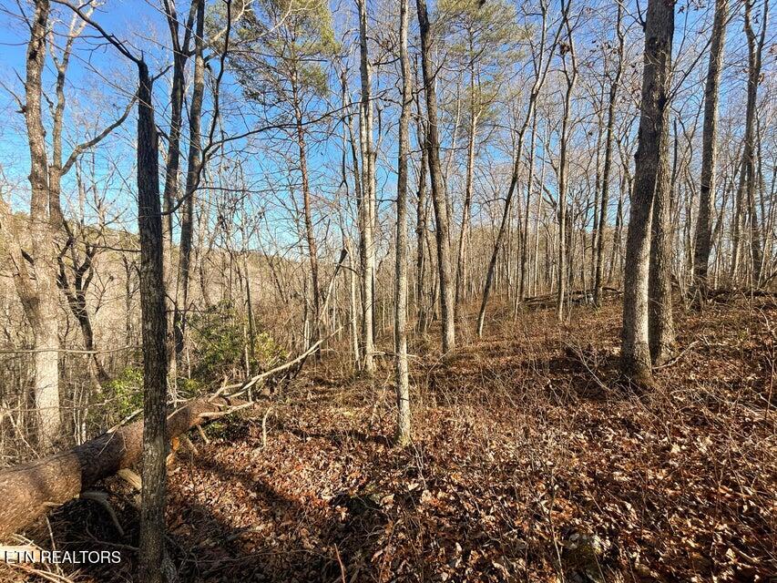 0 Deerhead Road Dunlap TN 37327