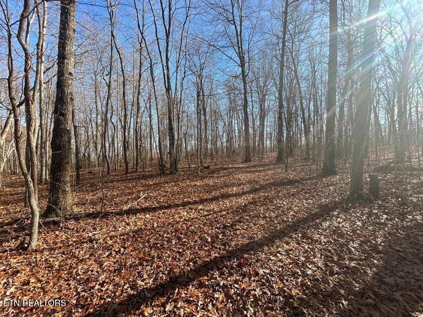 0 Deerhead Road Dunlap TN 37327