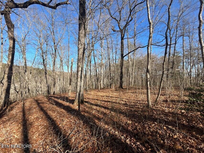 0 Deerhead Road Dunlap TN 37327