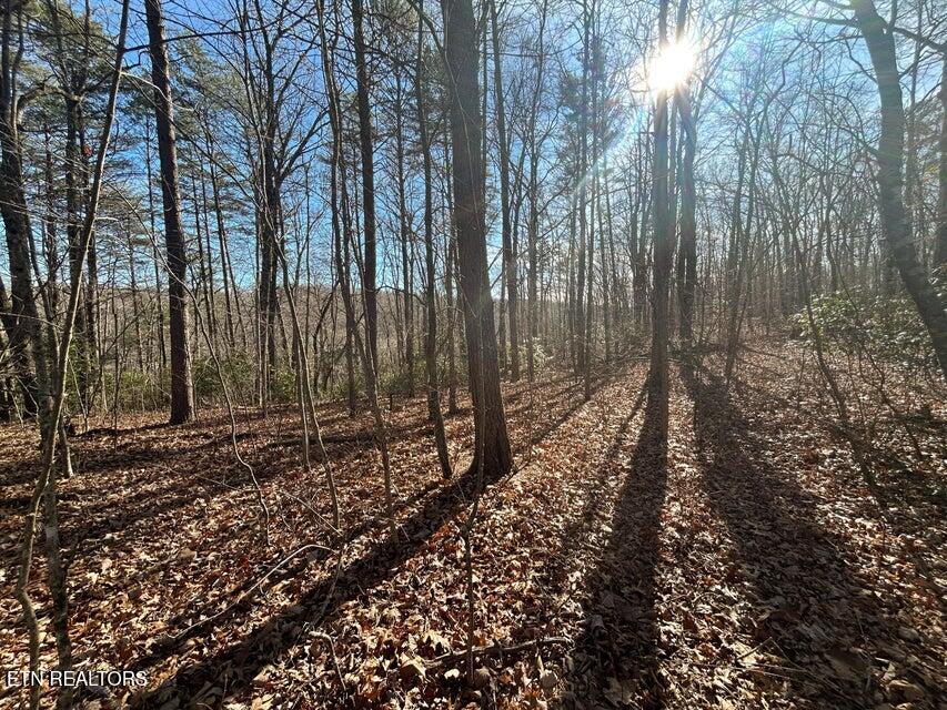 0 Deerhead Road Dunlap TN 37327