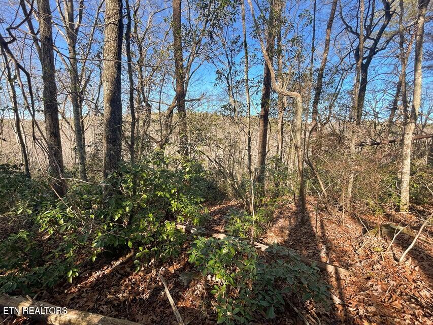 0 Deerhead Road Dunlap TN 37327