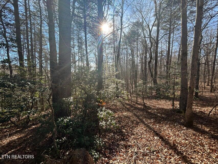 0 Deerhead Road Dunlap TN 37327