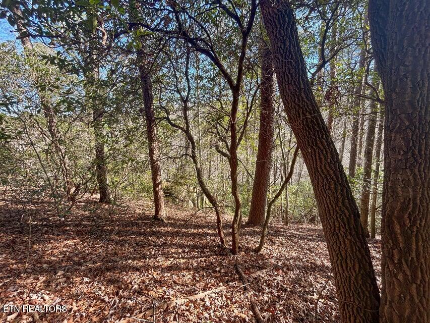 0 Deerhead Road Dunlap TN 37327