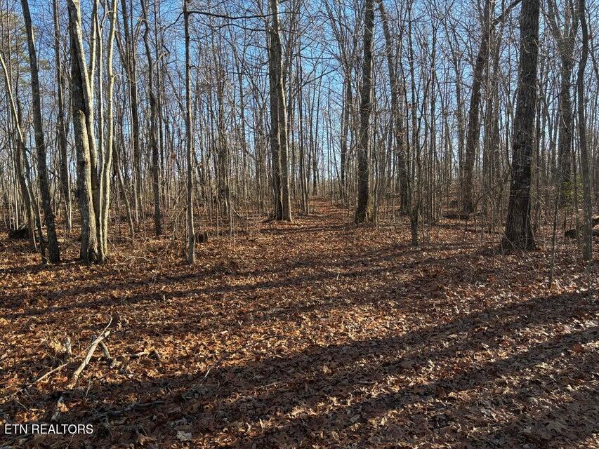 0 Deerhead Road Dunlap TN 37327