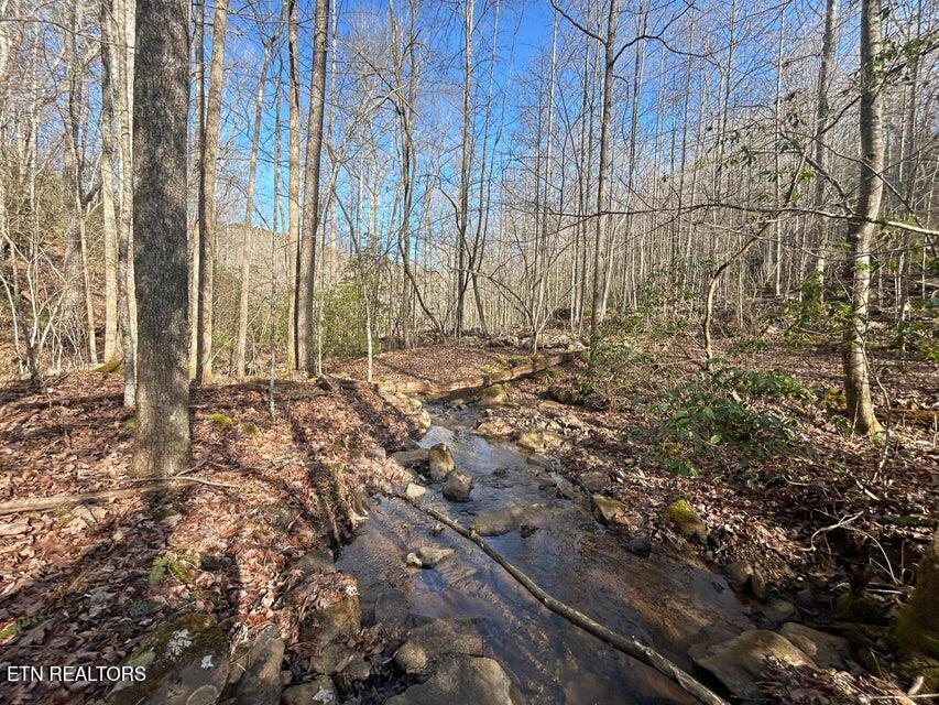0 Deerhead Road Dunlap TN 37327