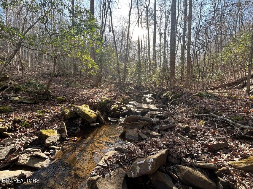 0 Deerhead Road Dunlap TN 37327