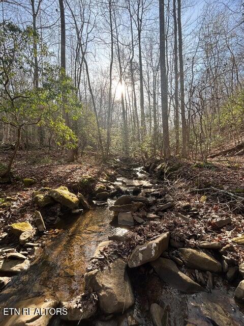 0 Deerhead Road Dunlap TN 37327