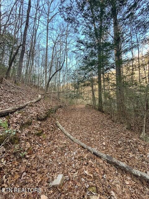 0 Deerhead Road Dunlap TN 37327