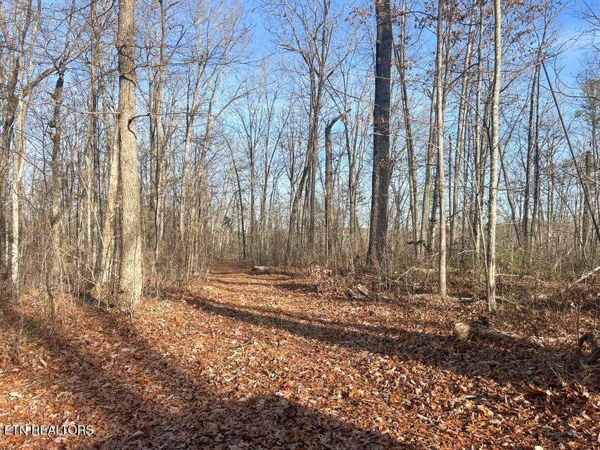 0 Deerhead Road Dunlap TN 37327