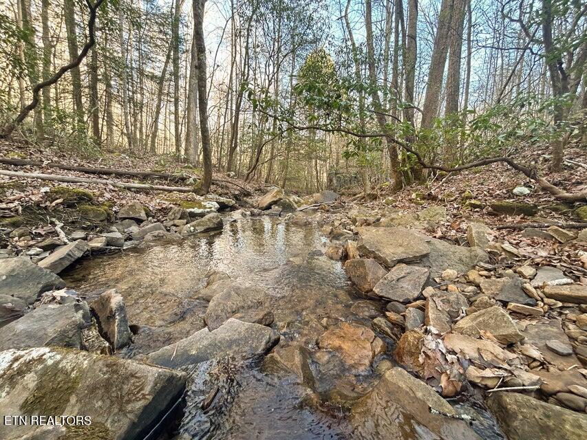 0 Deerhead Road Dunlap TN 37327
