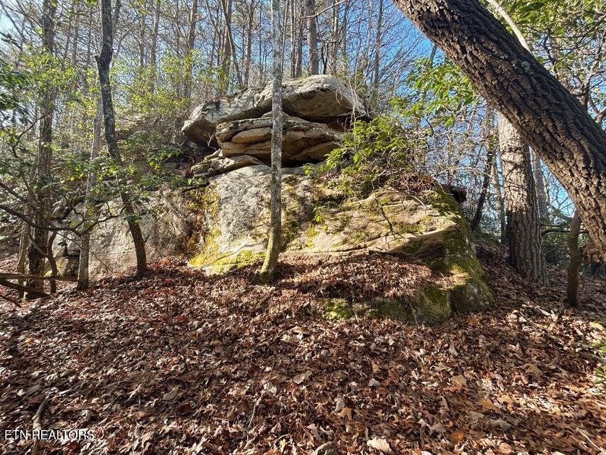 0 Deerhead Road Dunlap TN 37327